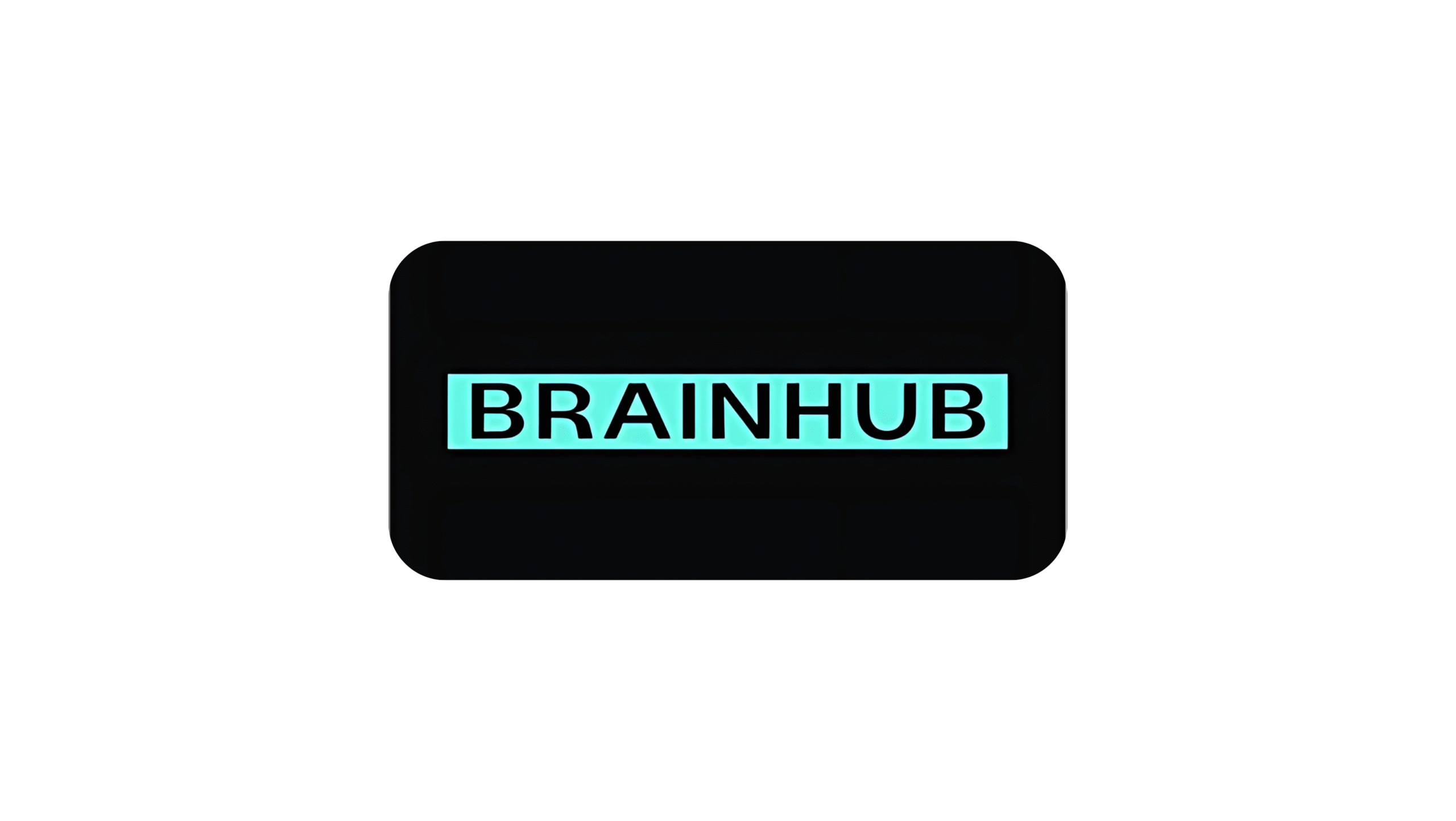 Top 20 MVP Development Companies in the USA 24 Brainhub